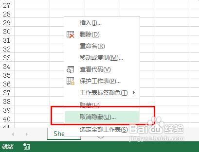 Excel2013教程-彻底隐藏工作表不能取消的方法